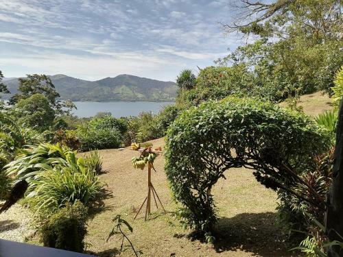 Bed & Breakfast La Ceiba Tree Lodge