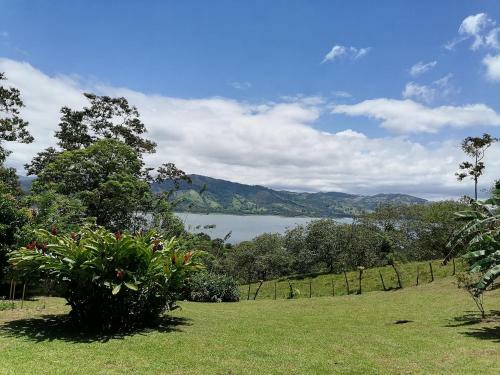 Bed & Breakfast La Ceiba Tree Lodge