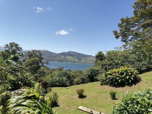 Bed & Breakfast La Ceiba Tree Lodge