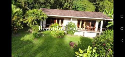 Bed & Breakfast La Ceiba Tree Lodge