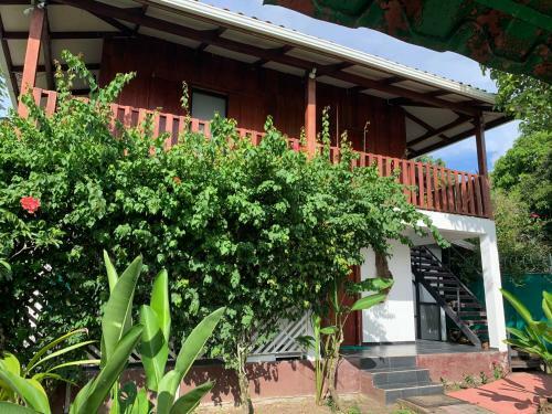 Apartamento Budda Home