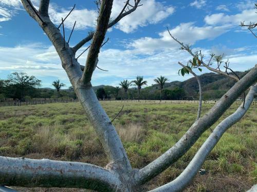Apartamento Riverland Turtle House