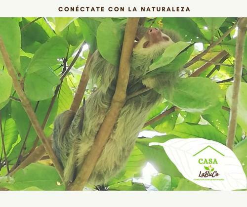 Agroturismo Casa Labuco