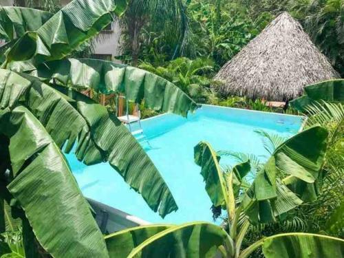 Apartamento Serena Suites