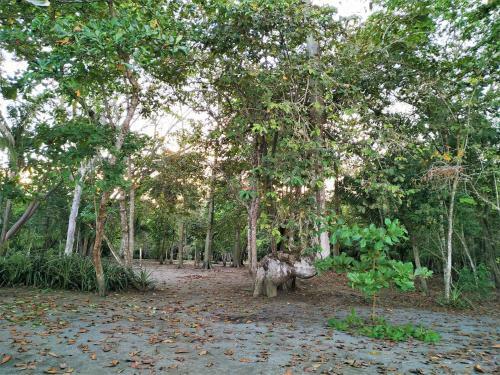 Four Monkeys Eco Lodge