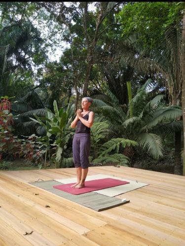 Four Monkeys Eco Lodge