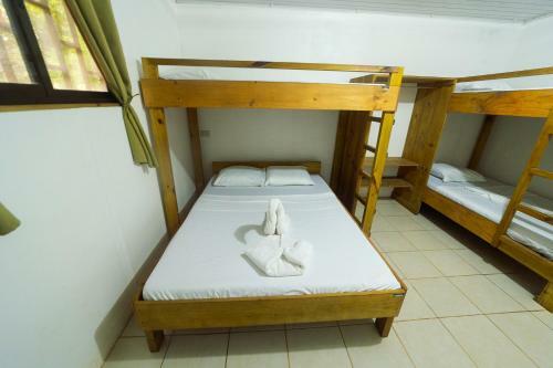 Corcovado Foundation Biohostel