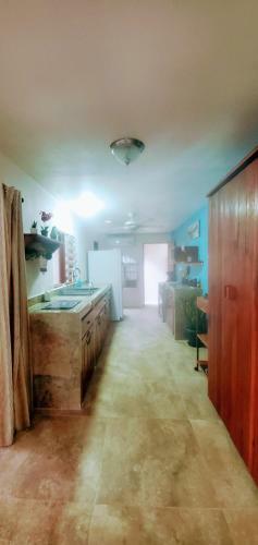 Casa Blue J