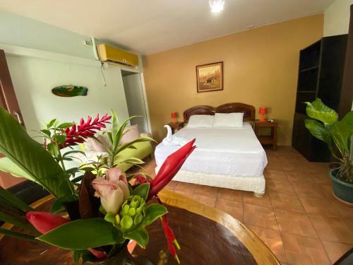 Bed & Breakfast La Monta�ita Lodge