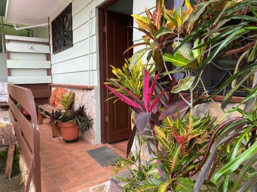 Bed & Breakfast La Monta�ita Lodge