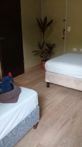 Bed & Breakfast La Monta�ita Lodge
