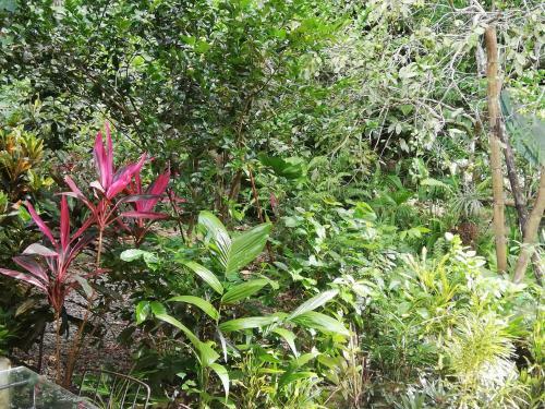 Bed & Breakfast La Monta�ita Lodge