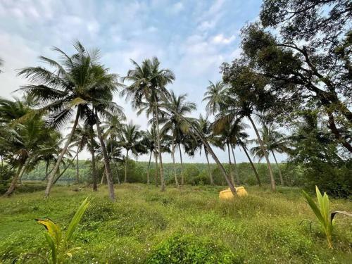 Cheerful 2 Bed Place In Kundapura