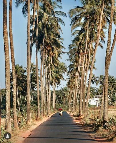 Villa Sun-kissed Holidays, Goa-pearl