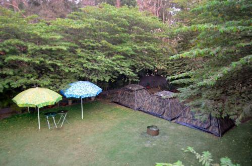 Hotel Dandeli Jungle Resort