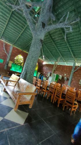 Hotel Dandeli Jungle Resort
