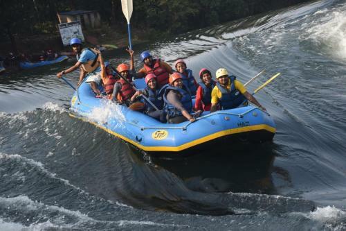 Adventuredandeliwildlife