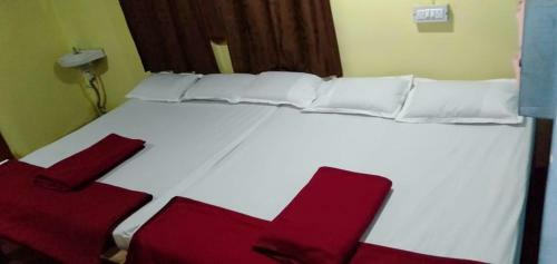 Dandeli Jungle Homestay
