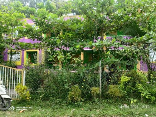 Dandeli Jungle Homestay