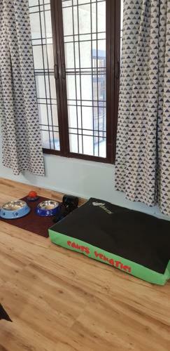 Hotel A Dogs Story, Mussoorie