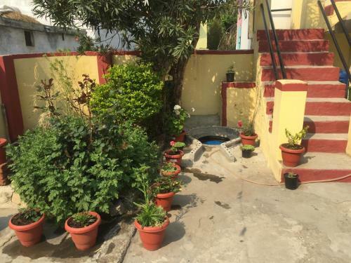 Katyuri Kings Village Homestay