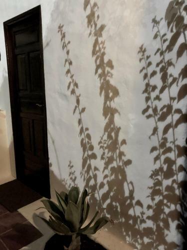 Villa Mare Bella Chao Sea View Private Heated Solar Pool AC
