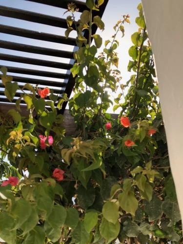 Villa Mare Bella Chao Sea View Private Heated Solar Pool AC