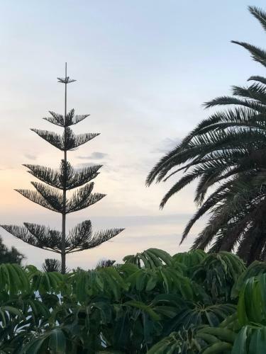 Villa Mare Bella Chao Sea View Private Heated Solar Pool AC