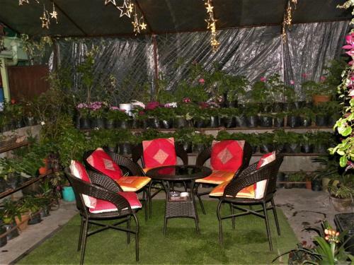 Apartamento Nest In Garden Home Stay