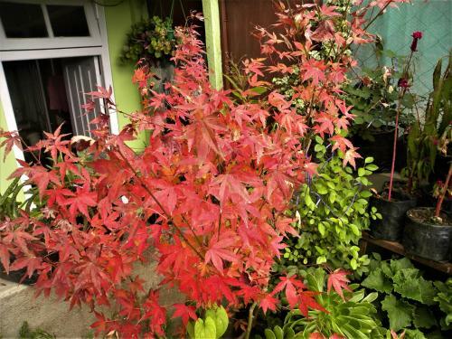 Apartamento Nest In Garden Home Stay