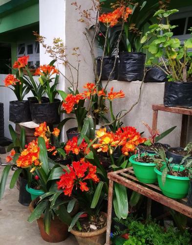 Apartamento Nest In Garden Home Stay