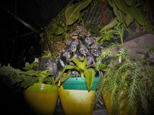 Apartamento Nest In Garden Home Stay