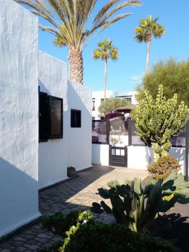Chalet N� 7 Tajinaste