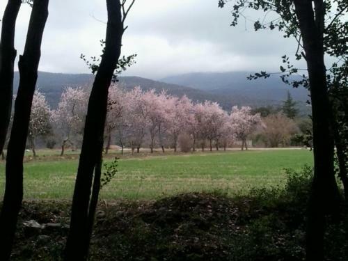 Lodge Refugi Al Montseny, Casa Con Encanto