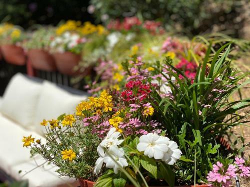 Wine Country Retreat - Monthly Stays