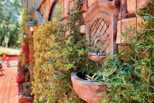Wine Country Retreat - Monthly Stays