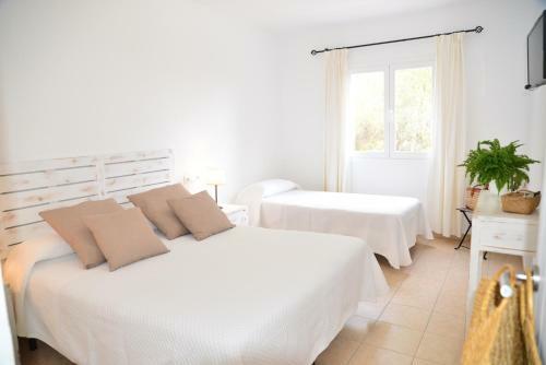 Apartamentos Costamar 1; Apartamento N�11
