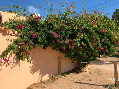 Casa Rosa Mar�a