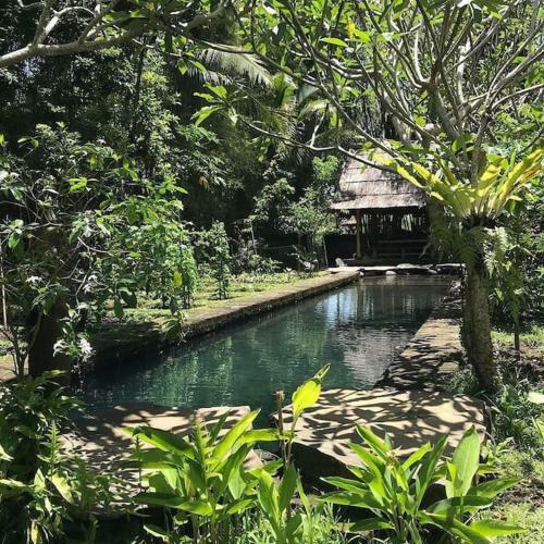 Villa Tower House - 4 Bds Eco Bamboo House, River View