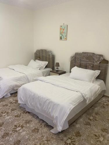Apartamento ???? ????? 3