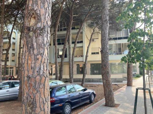 Apartamento Vacanze Complesso "kaltersia" - Albania