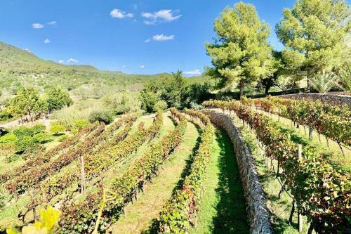 Villa Es Castell de Ca N'alou de Ses Cases Noves