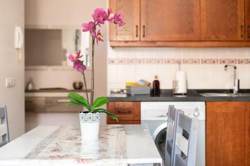 Apartamento La Restinga Buceo- Vivienda Vacacional