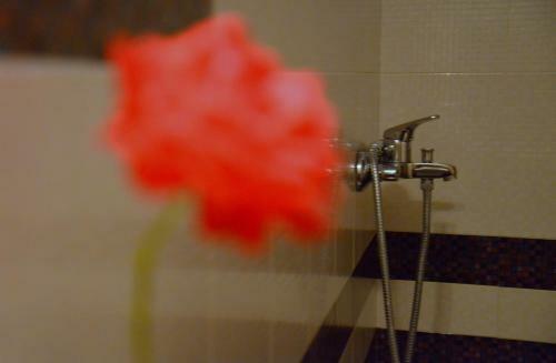 Apartamento Alisahni Studio