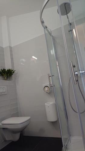 Apartmani Antonieta****