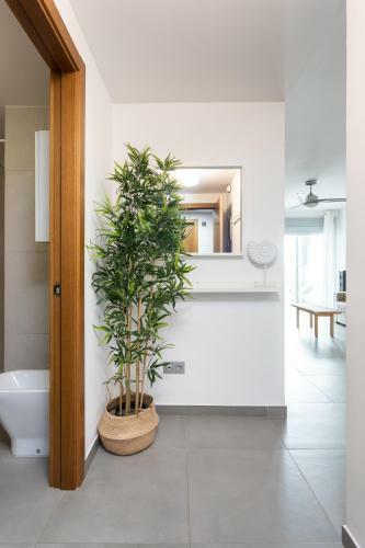 Apartamentos Las Terrazas De Sotavento By Sunkeyrents