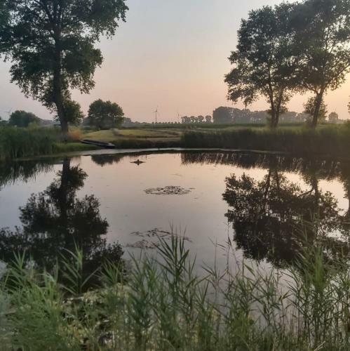 Bed & Breakfast Logies De Meerkoet