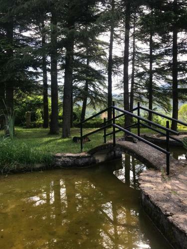 Bed & Breakfast Els Avets De La Muga