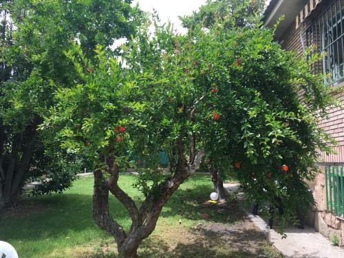 Agroturismo Casa Rural En Las Nieves