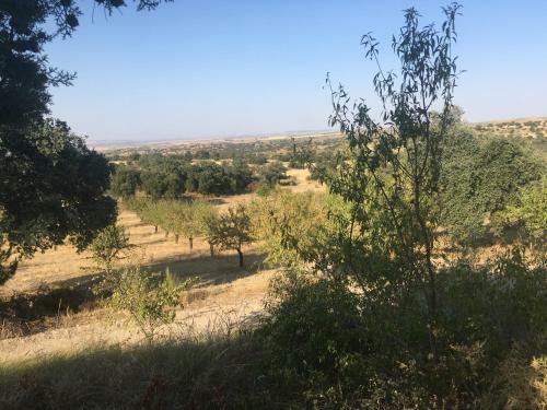 Agroturismo Casa Rural En Las Nieves